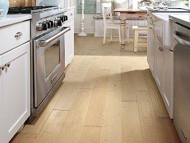 Yukon Maple 6 3/8 in Gold Dust Hardwood