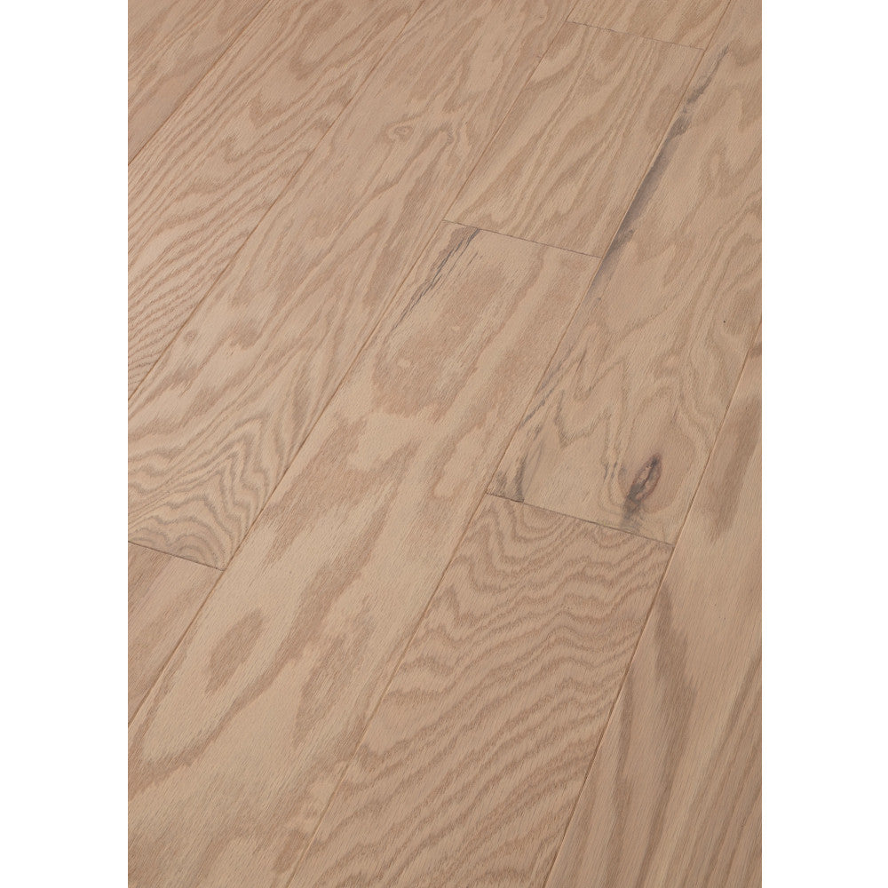 Albright Oak 5"