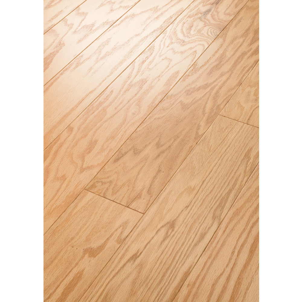 Timeless Oak 5"