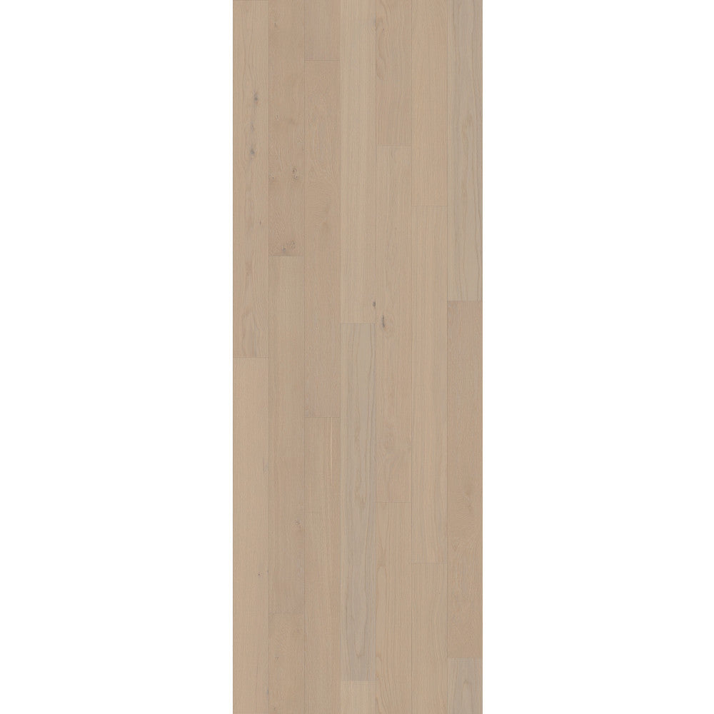 Liberty Oak