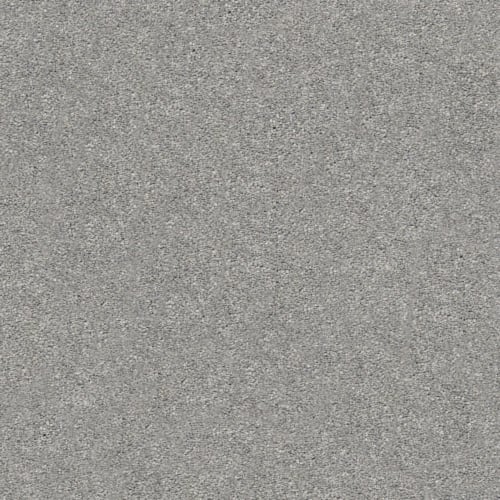 Your Comfort I in Cool Breeze Carpet