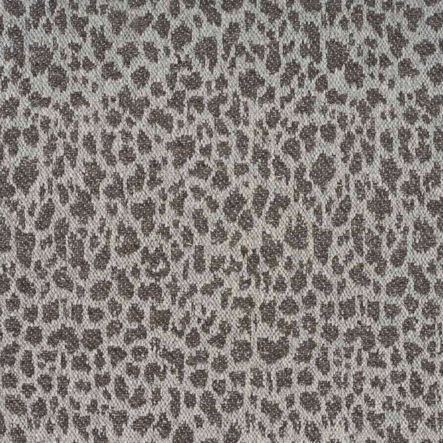 Natural Cheetah