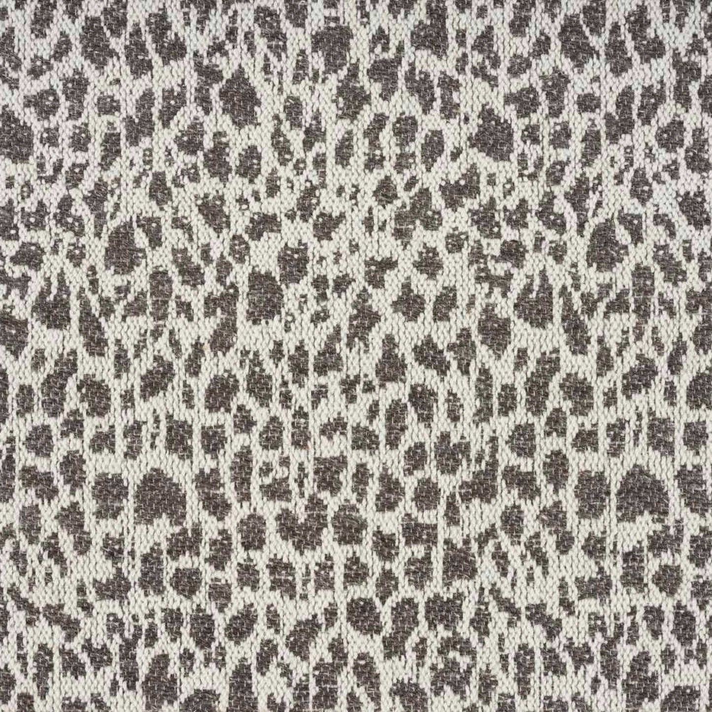 Natural Cheetah