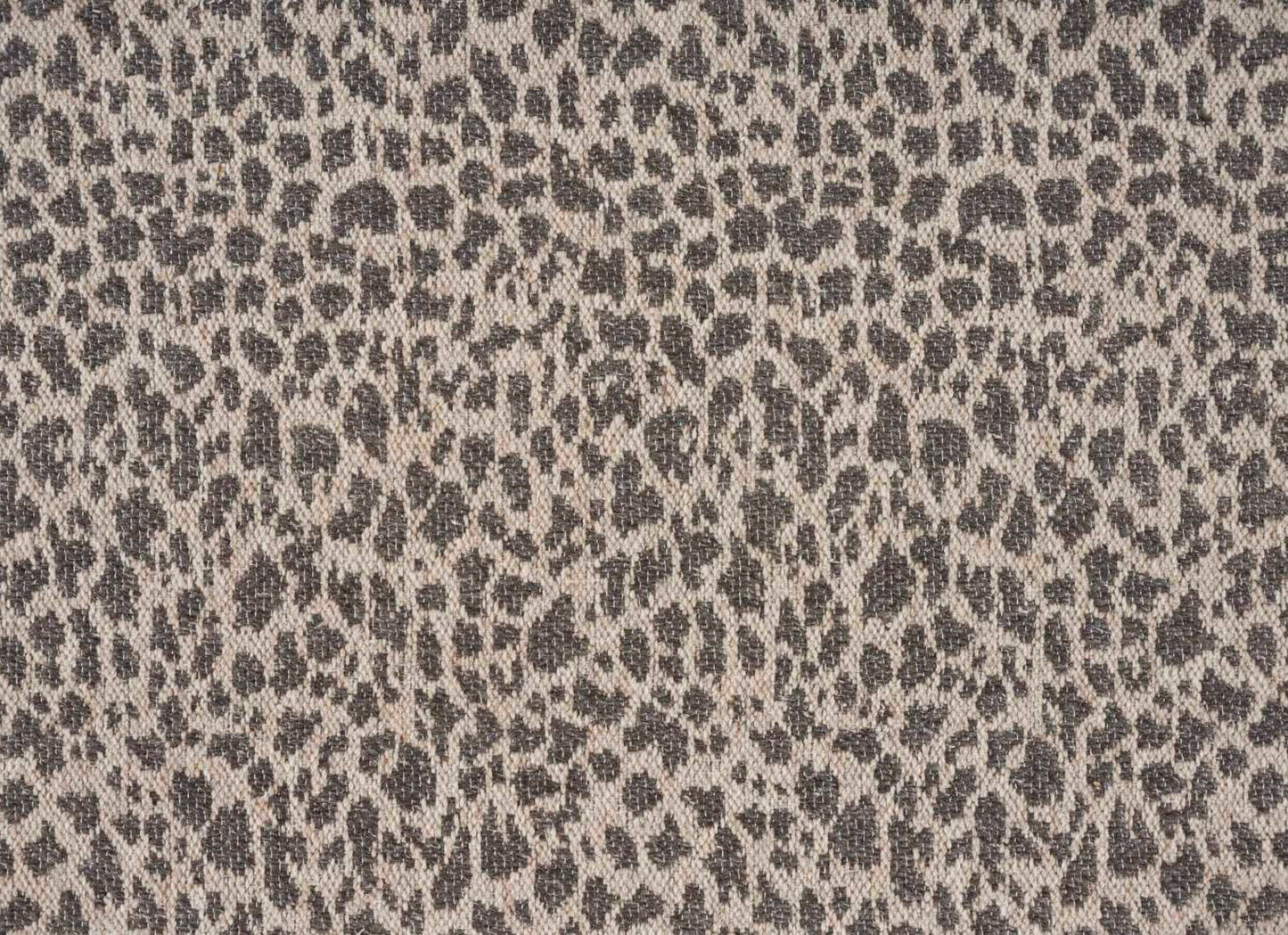 Natural Cheetah