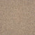 Gobi Berber