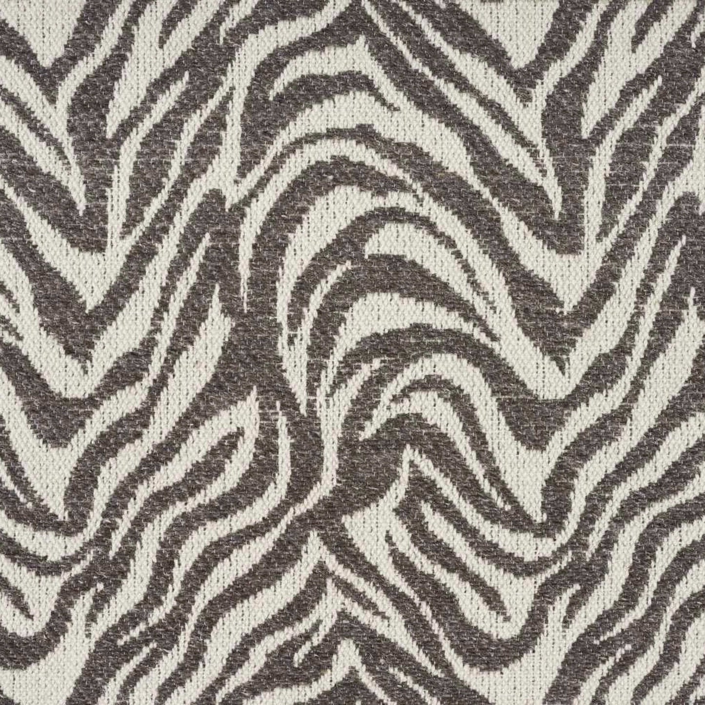 Natural Mountain Zebra in Charcoal Carpet