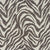 Natural Mountain Zebra in Charcoal Carpet