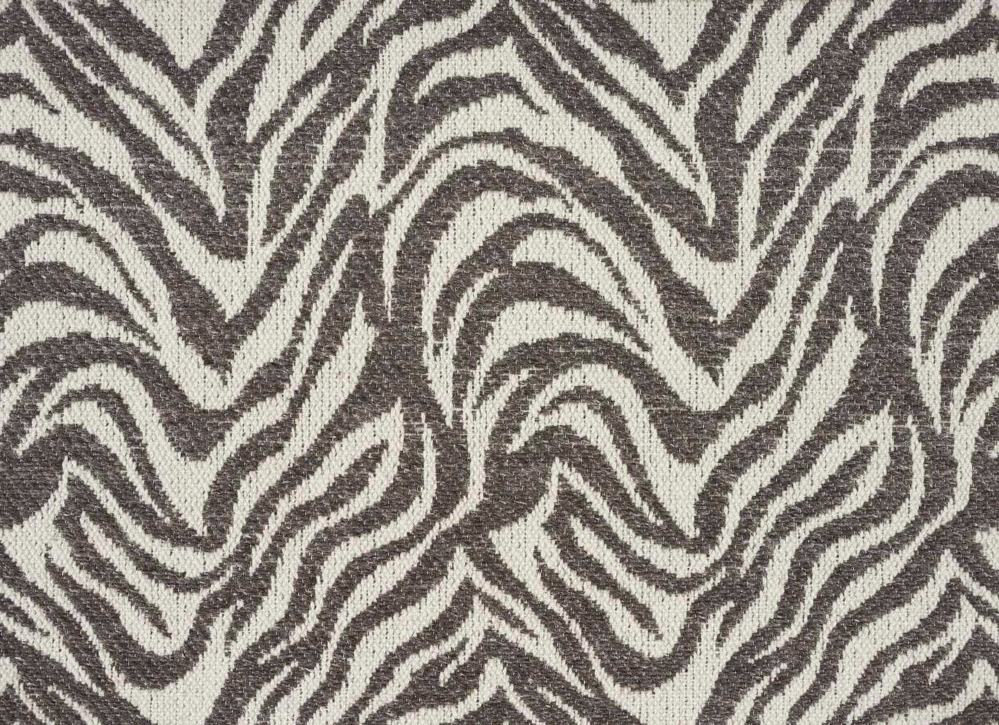 Natural Mountain Zebra