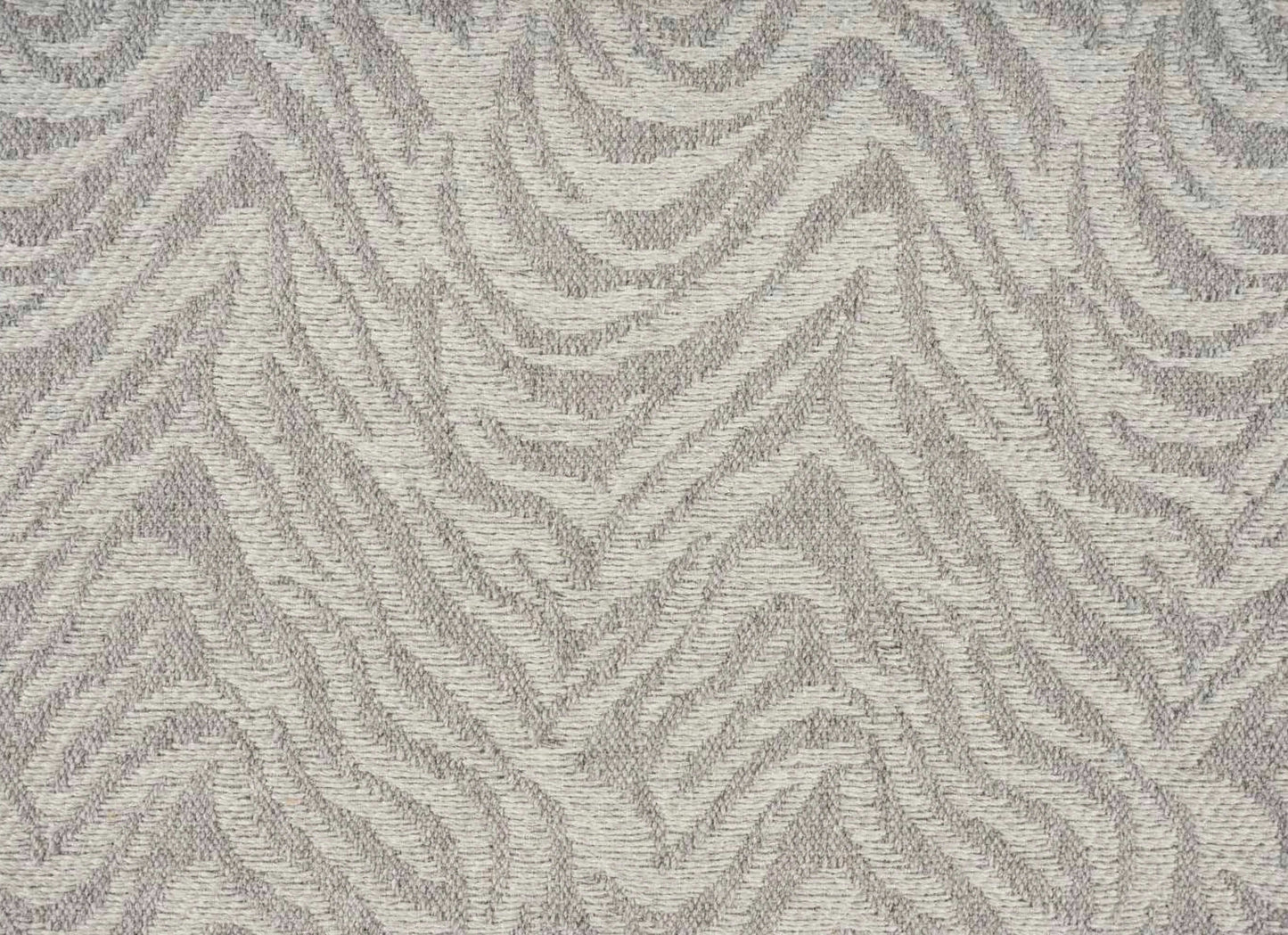 Natural Mountain Zebra