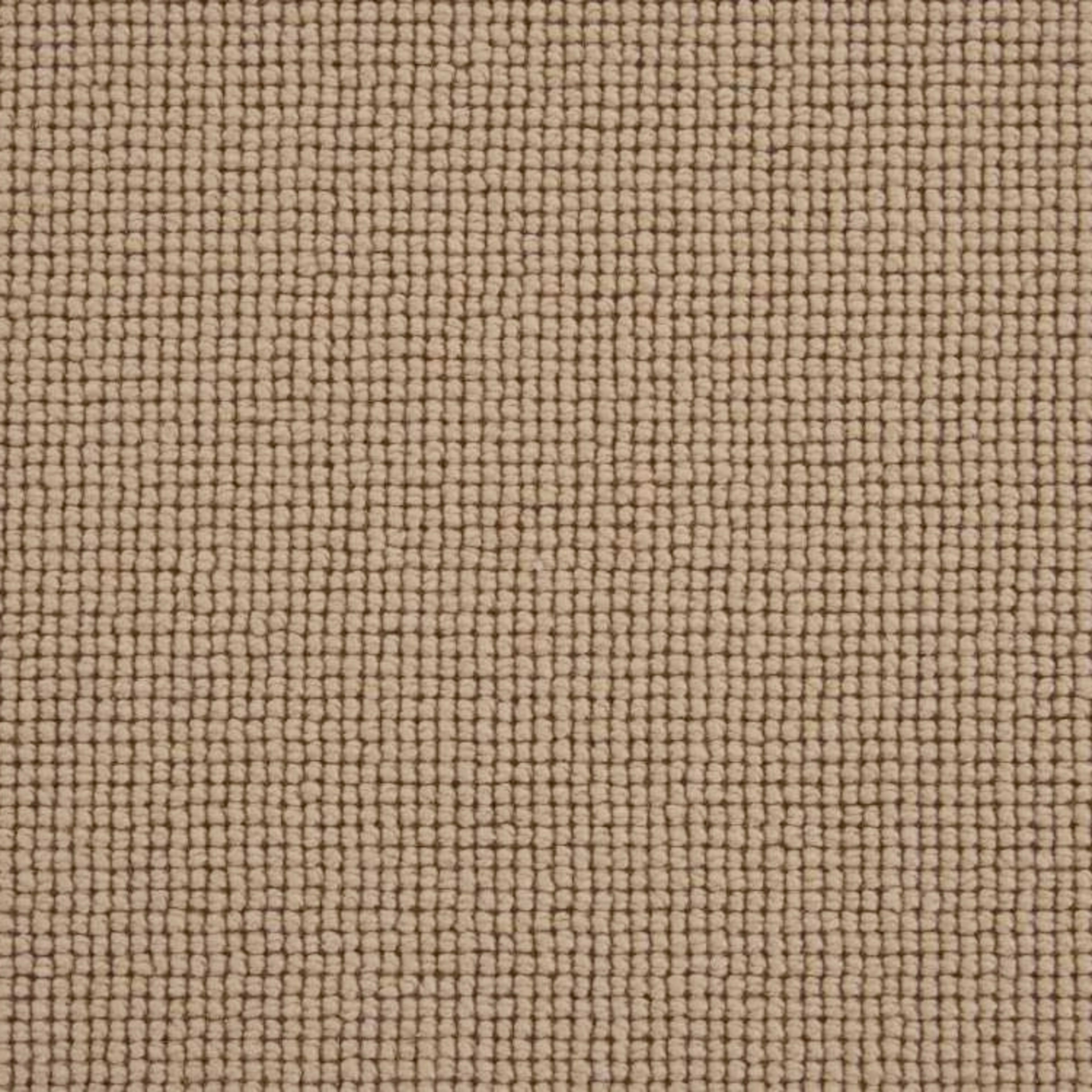 Rockville in Harvest Carpet