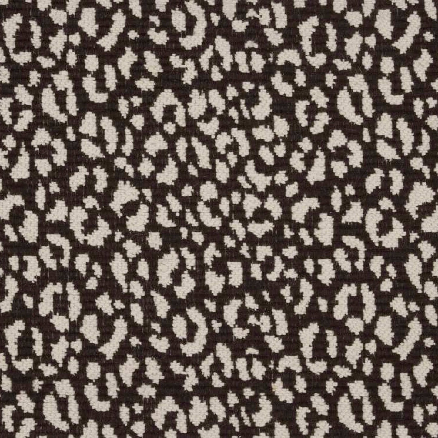 Savoy Leopard