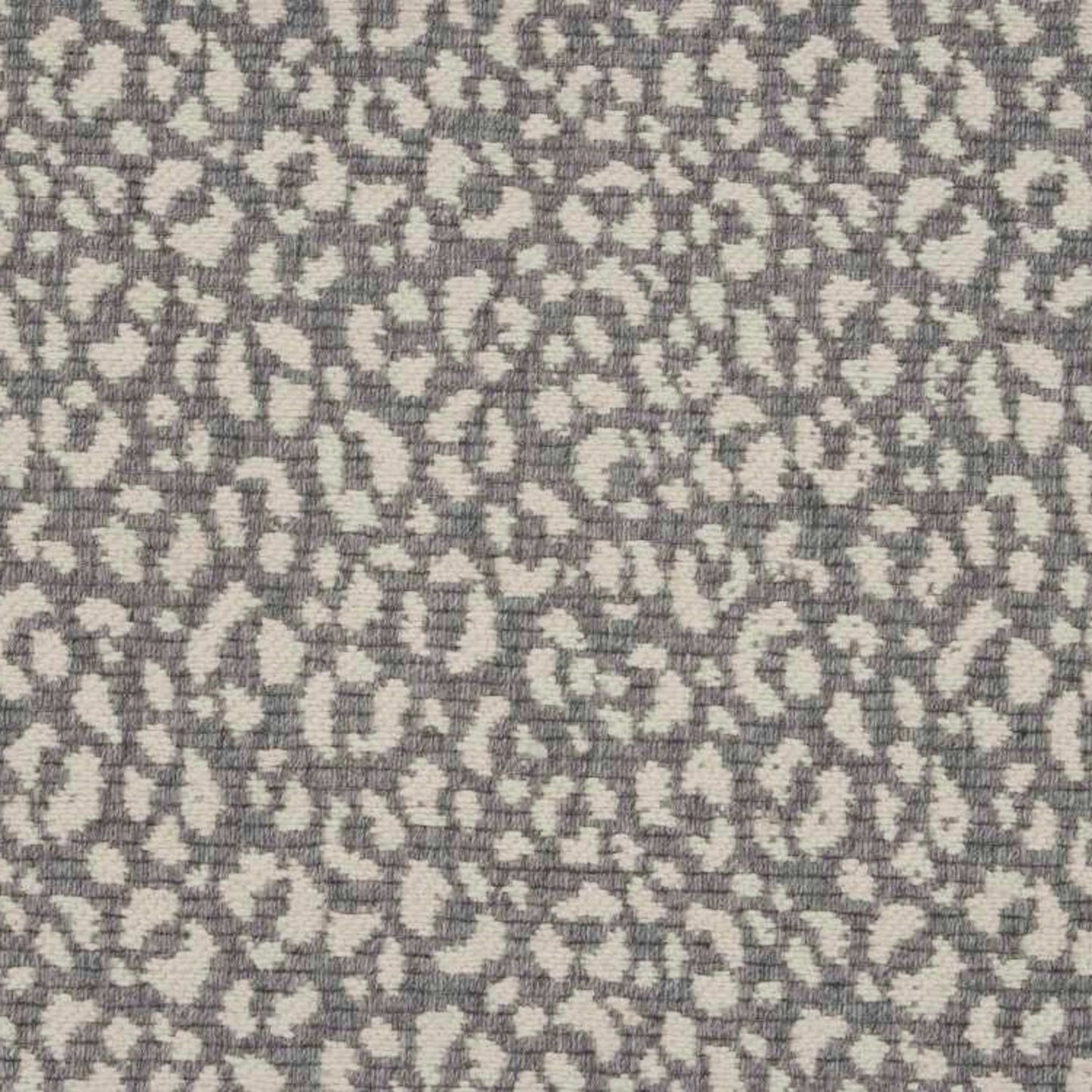 Savoy Leopard
