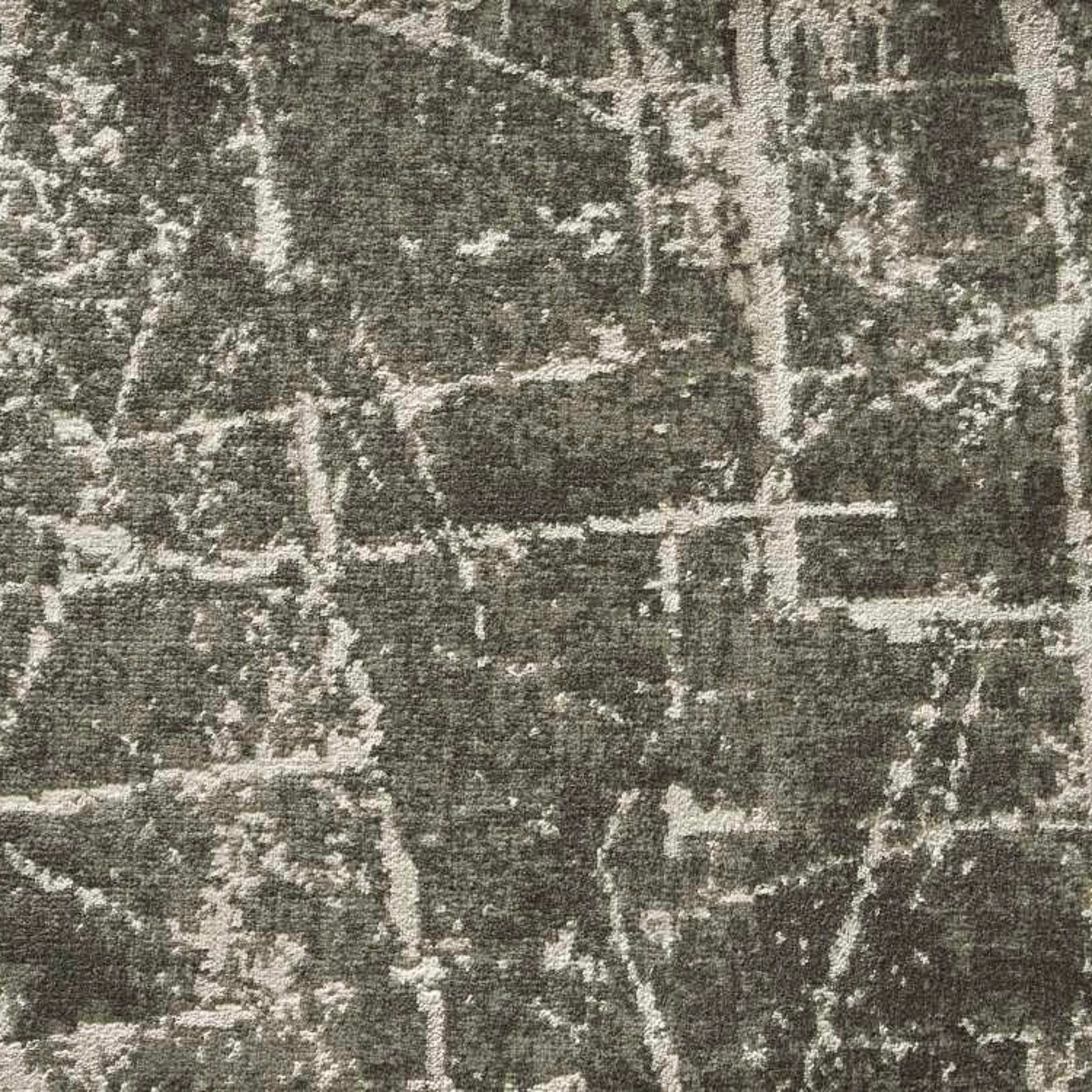 Starlight Frenetic in Graphite Carpet