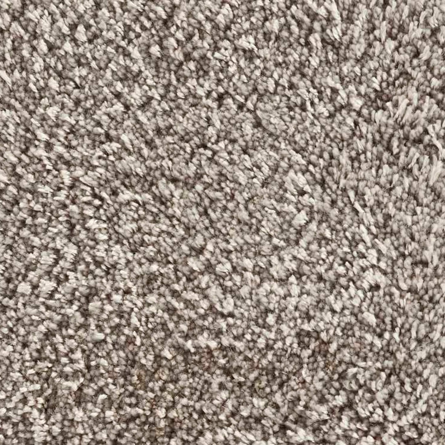 Sumptuous in Steel Grey Carpet