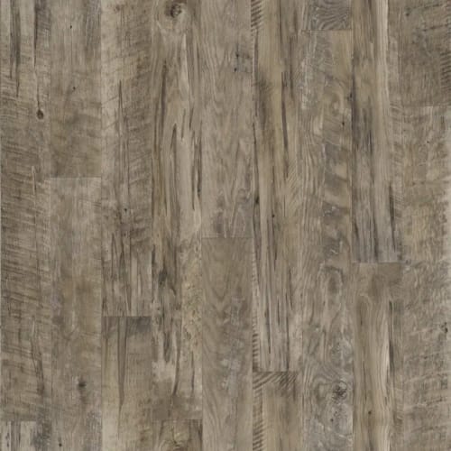 Black Mountain Oak