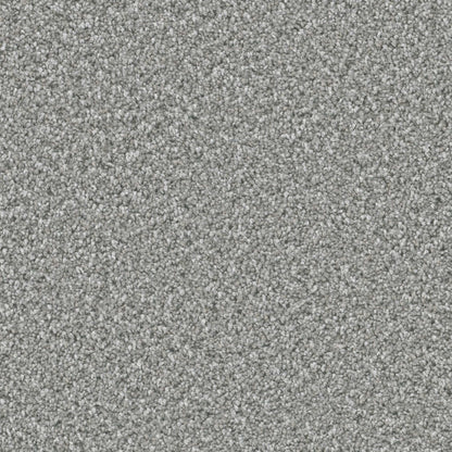 Queens in Moonstone Carpet
