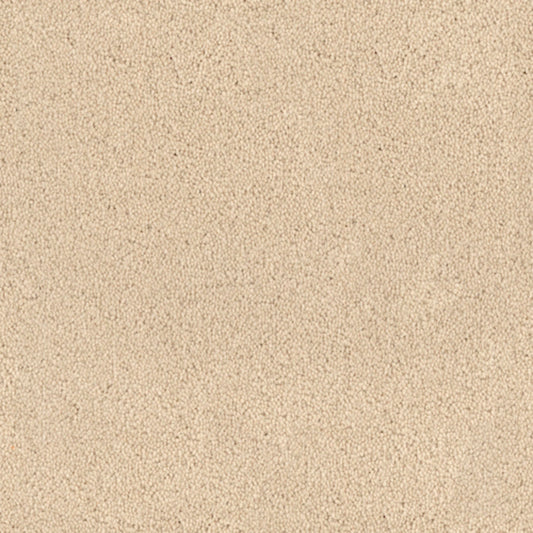 Tribute in Serengeti Carpet