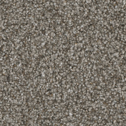 Mount Rainier I in Bay Dunes Carpet