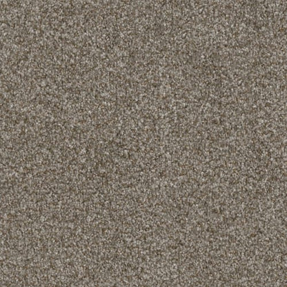 Capella I in Bay Dunes Carpet