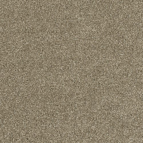 Bel Air in Sienna Sand Carpet