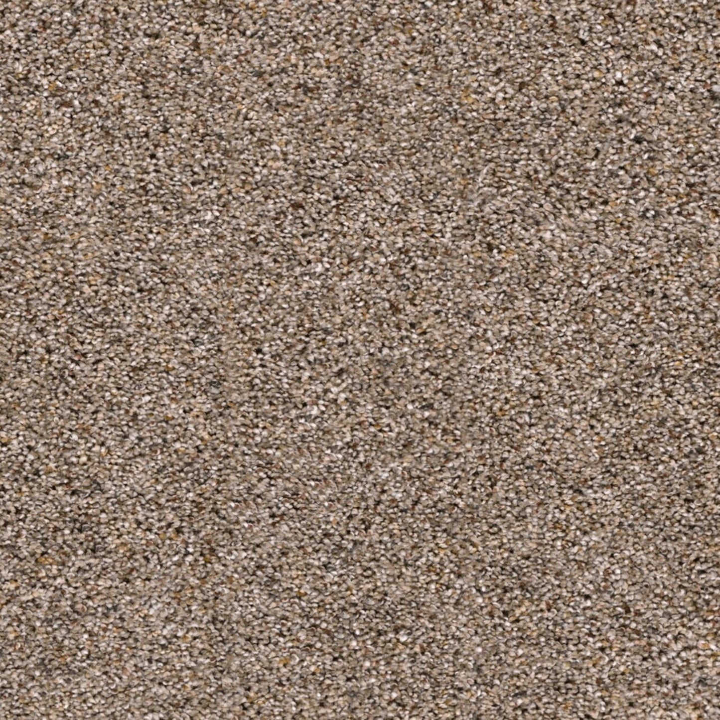 Marley II in Umber Carpet