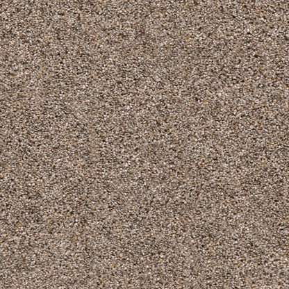 Marley II in Umber Carpet
