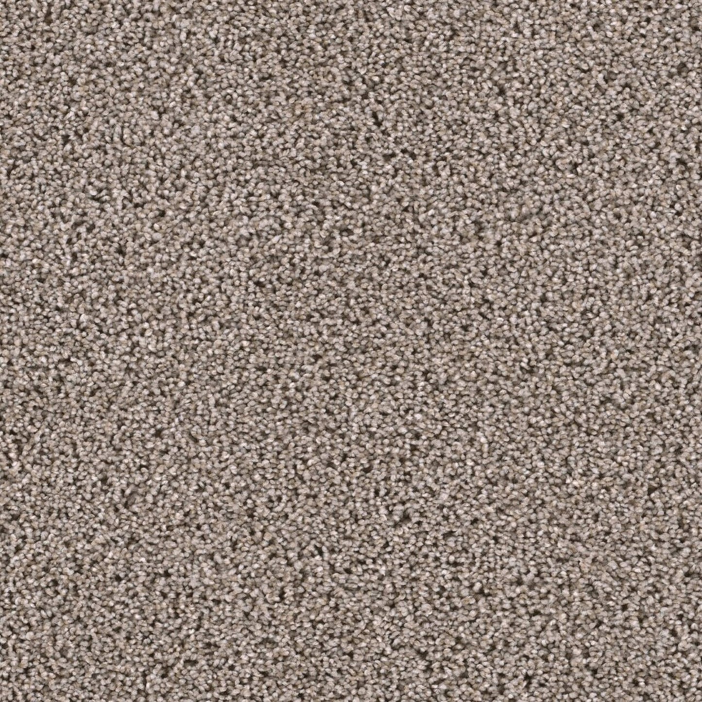Lustrio I