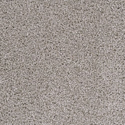 Lustrio I in Acadia Carpet