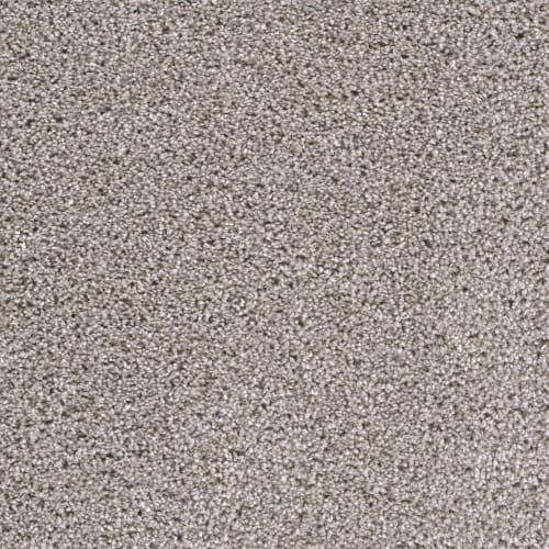 Lustrio II in Acadia Carpet