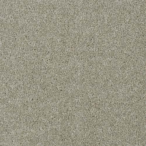 Acclaim in  jet Stream Carpet