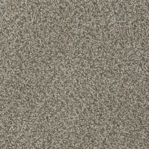 Ascend in Fossil Carpet