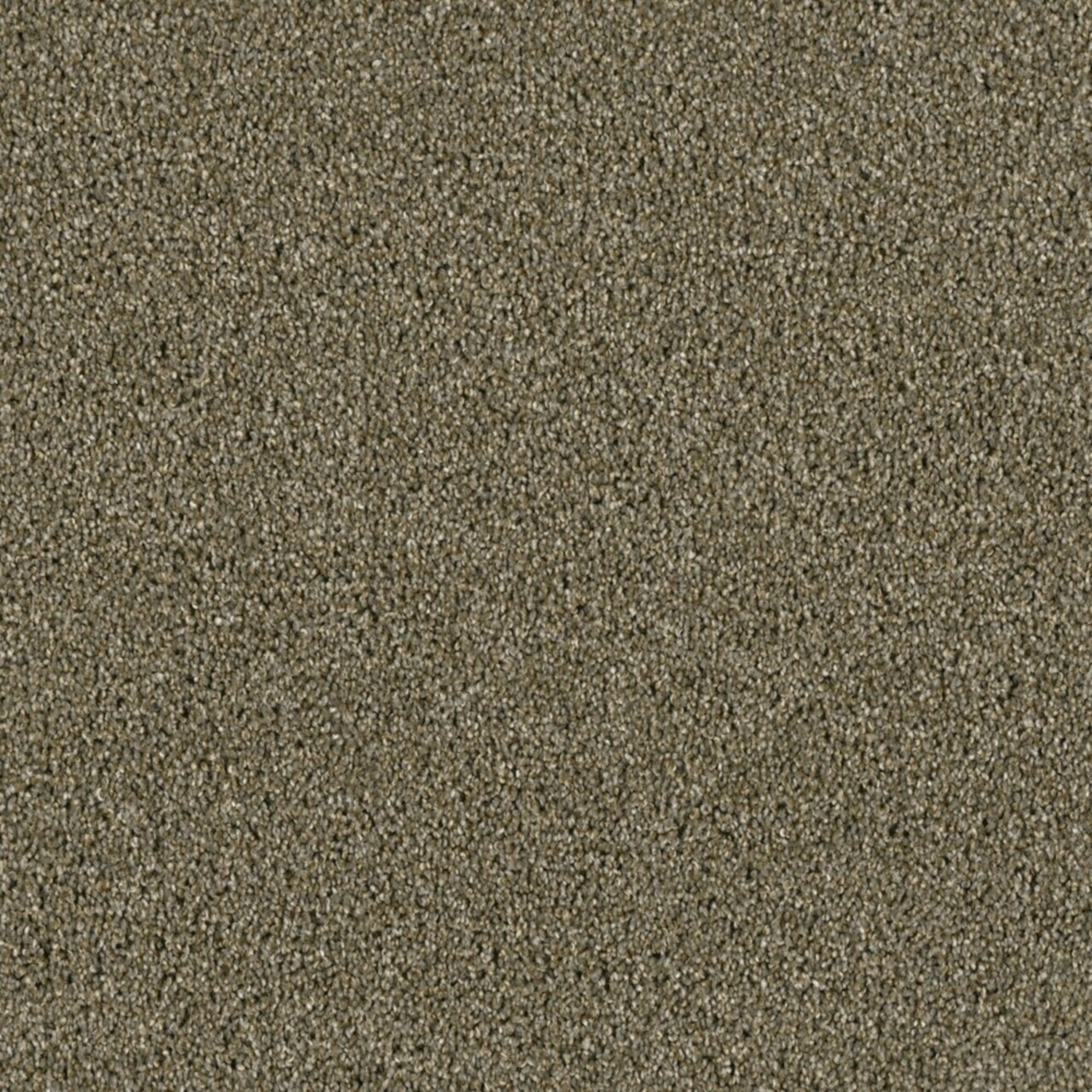 Tigris in Cinnamon Tea Carpet
