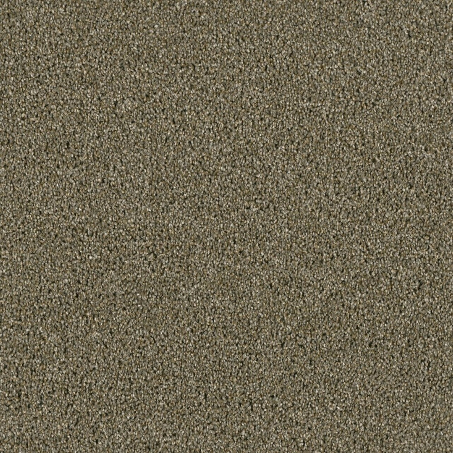 Tigris in Cinnamon Tea Carpet