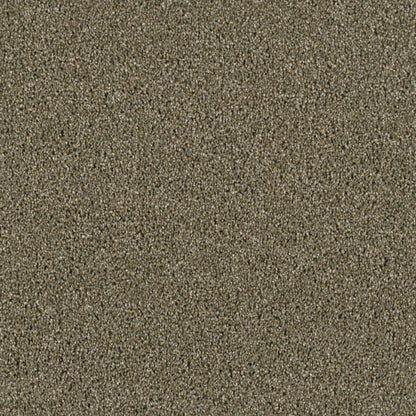 Tigris in Cinnamon Tea Carpet