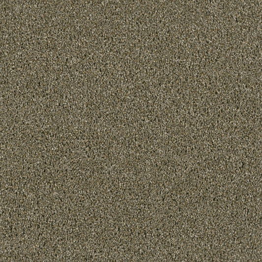 Tigris in Cinnamon Tea Carpet