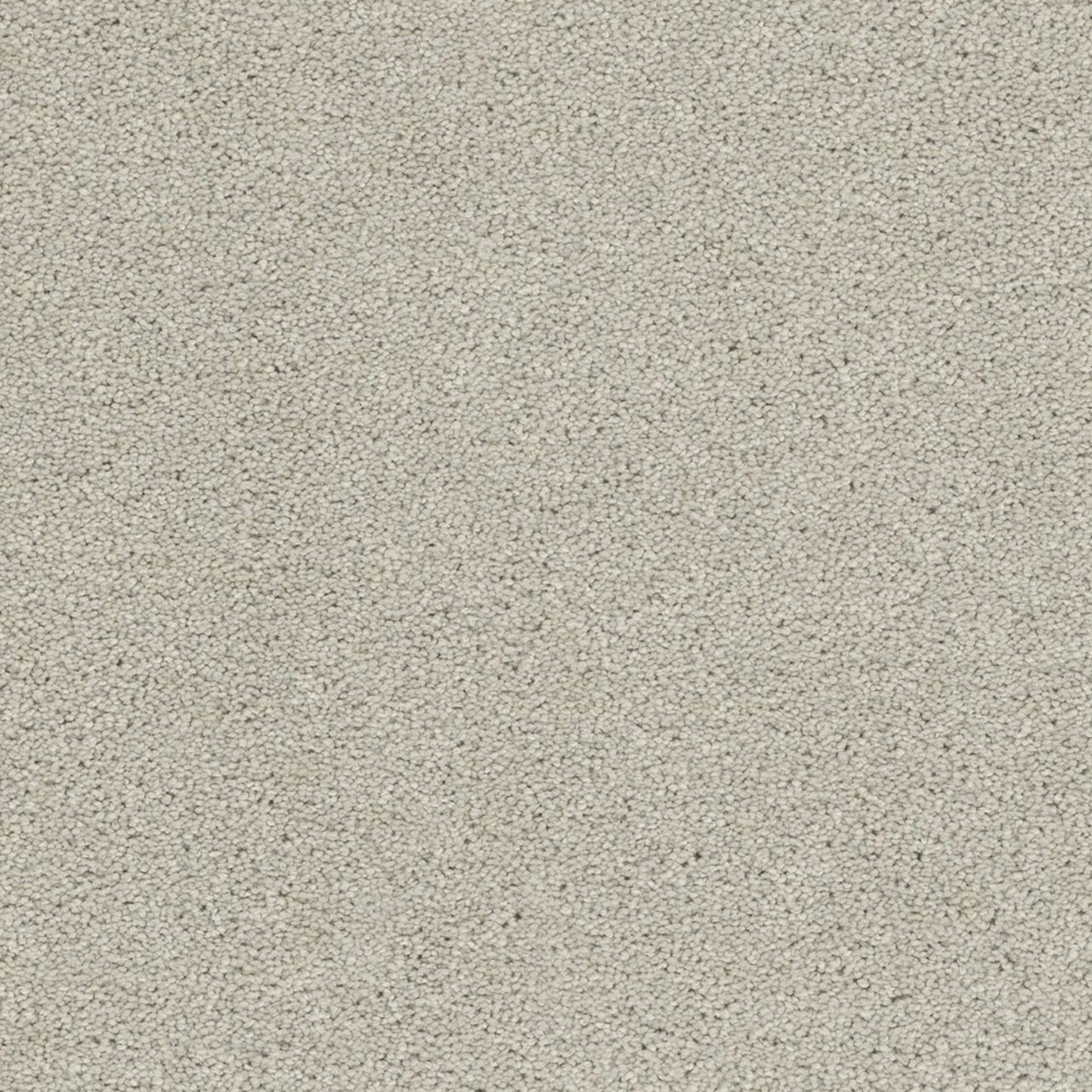 Laramie I in Clove Carpet