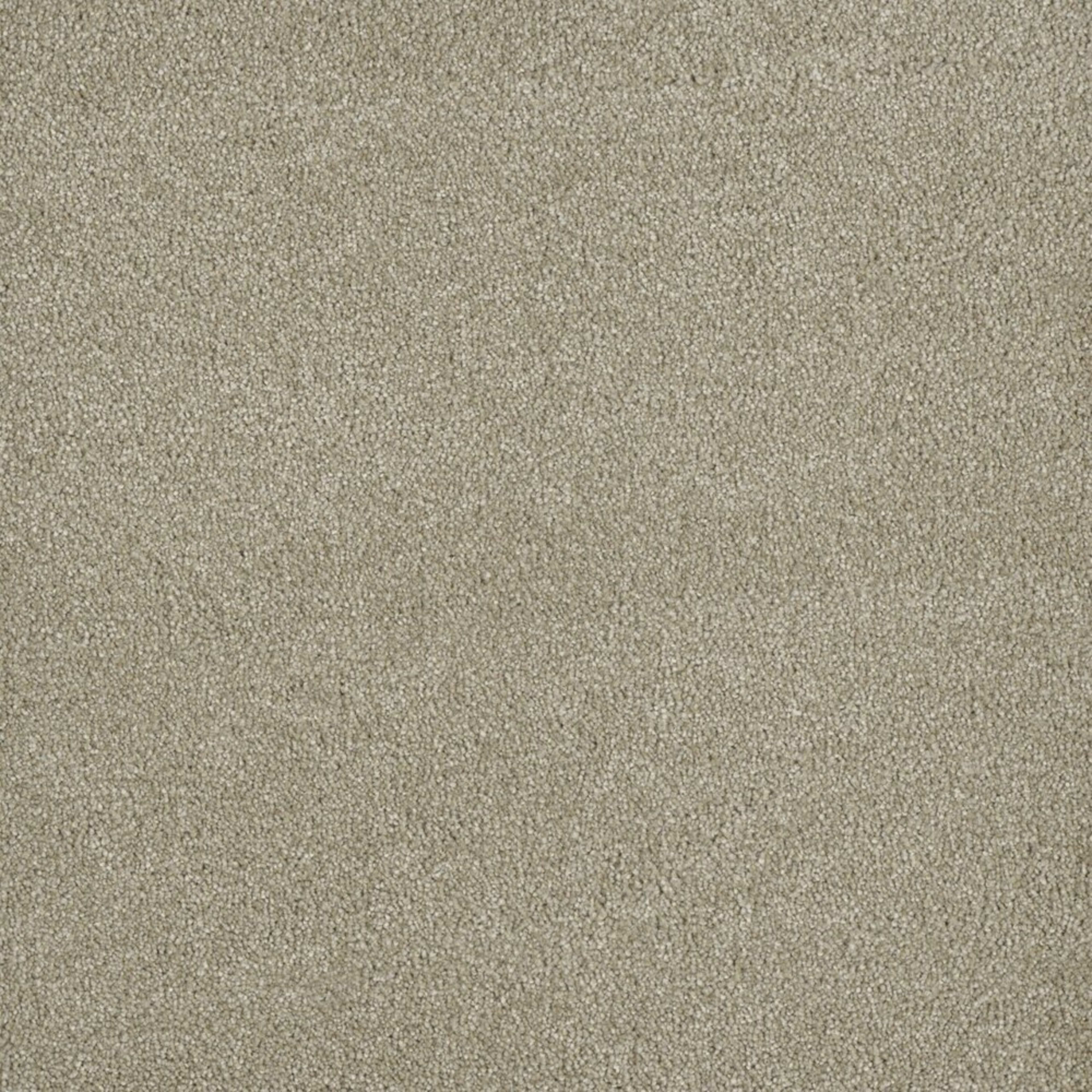 Newport I in Oak Barrel Carpet