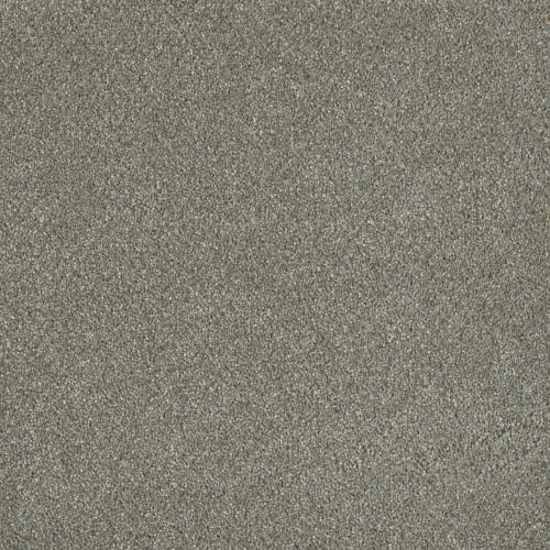 Newport II in Ancient Marble Carpet