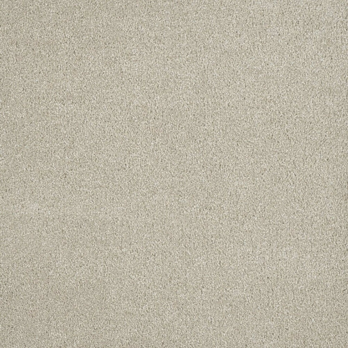 Newport II in Dusk Carpet
