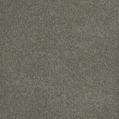 Newport III in Havana Carpet
