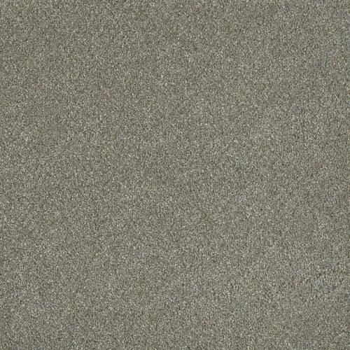 Newport III in Ancient Marble Carpet