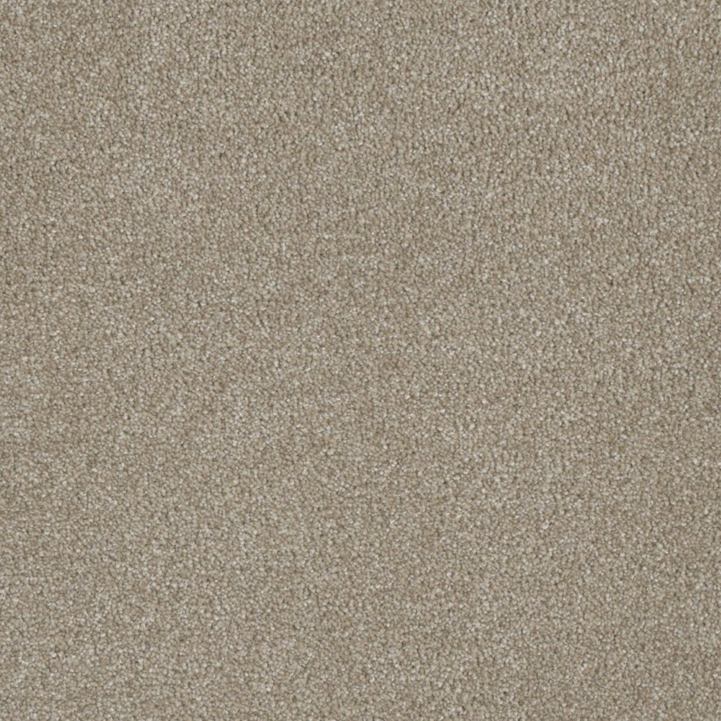 Profound I in Cameo Carpet