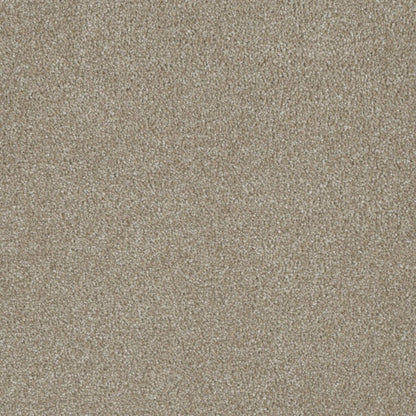 Profound I in Cameo Carpet