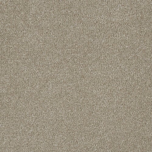 Profound II in Cameo Carpet