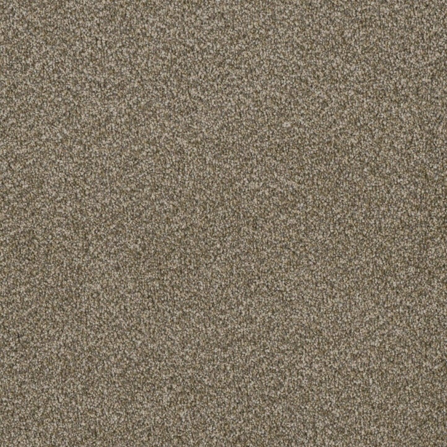Profound II in Sienna Sand Carpet