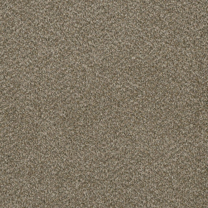 Profound II in Sienna Sand Carpet