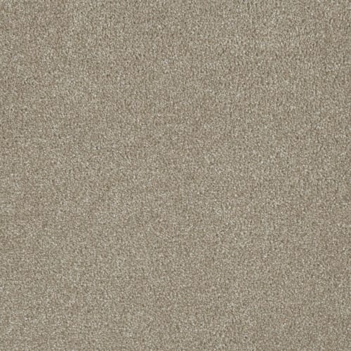 Profound III in Cameo Carpet