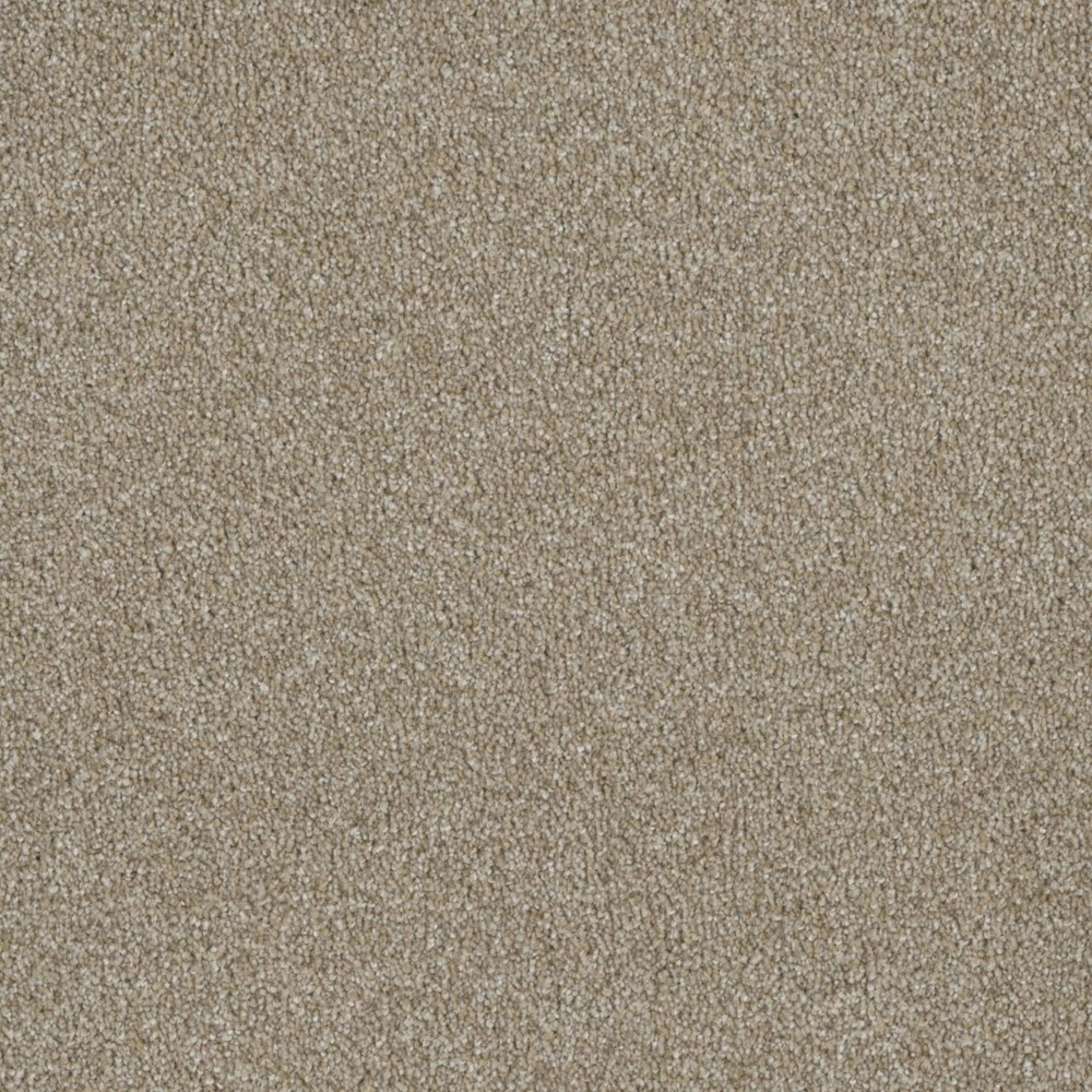 Profound III in Outback Carpet