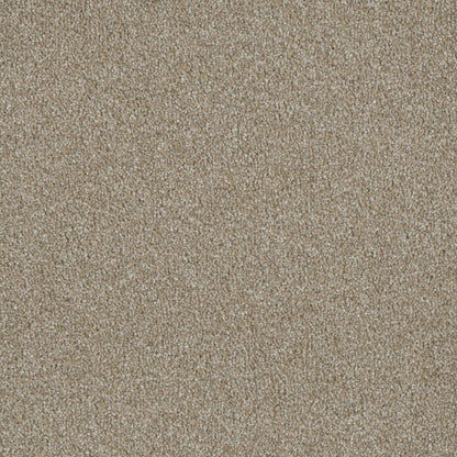 Profound III in Outback Carpet