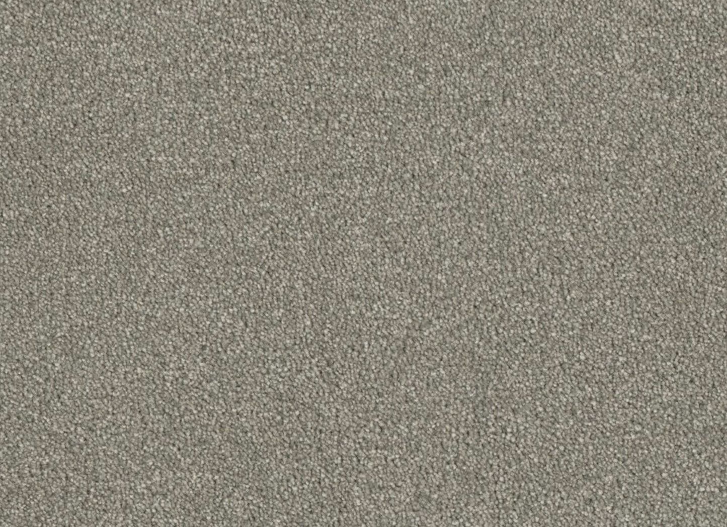 Profound III
